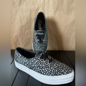 Keds Point Canvas Mini Dot Print Lace Up